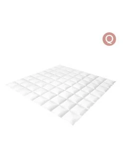 Best reviews of 💯 Giselle Bedding Queen Size Light Weight Duck Down Quilt 🛒