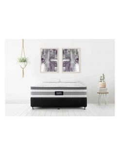 Brand new 🔔 SleepMaker Lifestyle Modena Firm 2 Mattress White ⭐